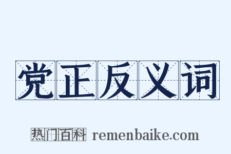 党正反义词是什么意思的图片